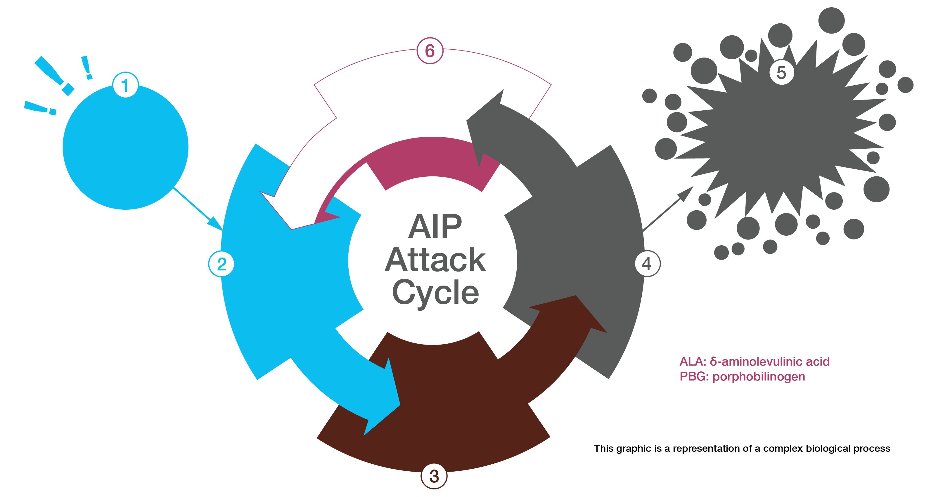AIP Attack Cycle Chart